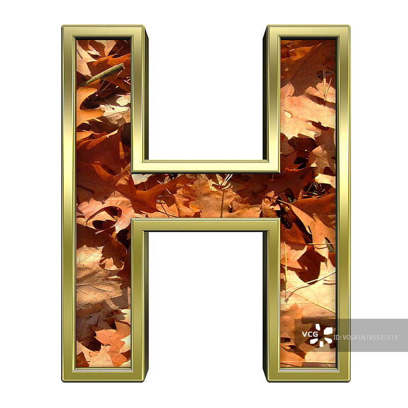 一个字母从秋天黄金字母表集图片素材