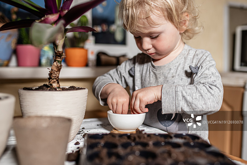 一个小女孩从陶瓷花瓶中取出种子，准备在春天种植在一次性容器中图片素材