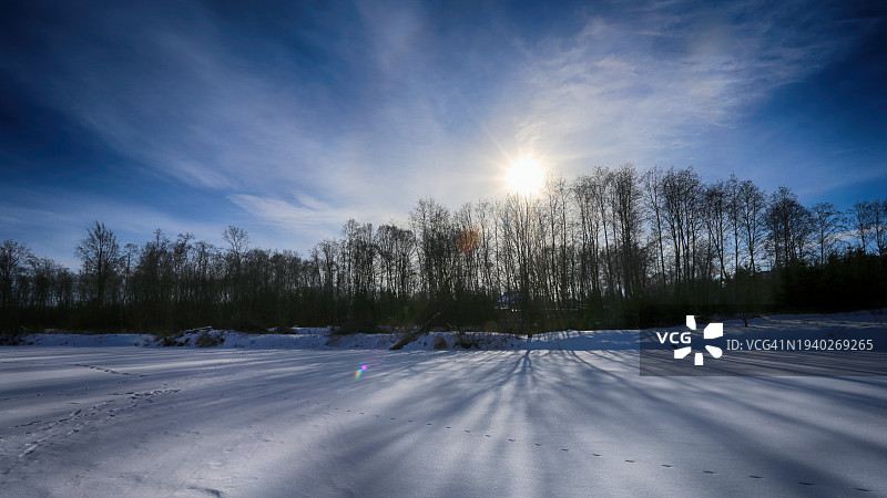 白雪覆盖的田野上的树木映衬着天空图片素材