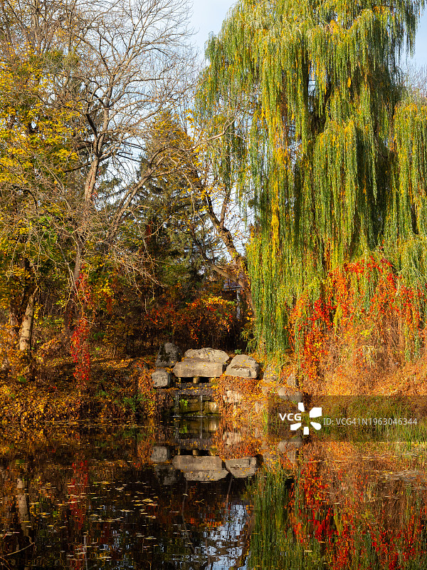 公园里池塘明亮多彩的秋景。周围有橙色叶子的树木在水面上反射图片素材