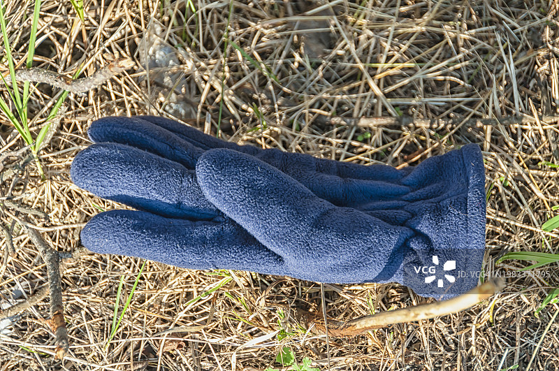 蓝色羊毛手套躺在外面的草地上图片素材