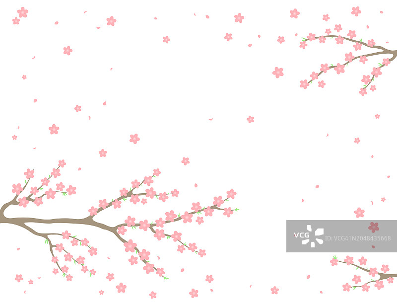 春暖花开，树枝在绽放的背景图片素材