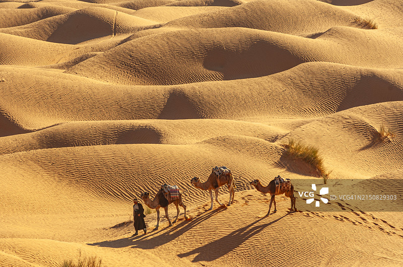 突尼斯，撒哈拉沙漠景观在Ksar Ghilane图片素材