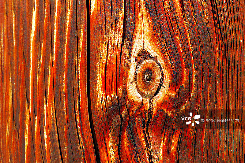 晒干木材的自然细节图片素材