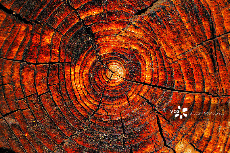 晒干木材的自然细节图片素材