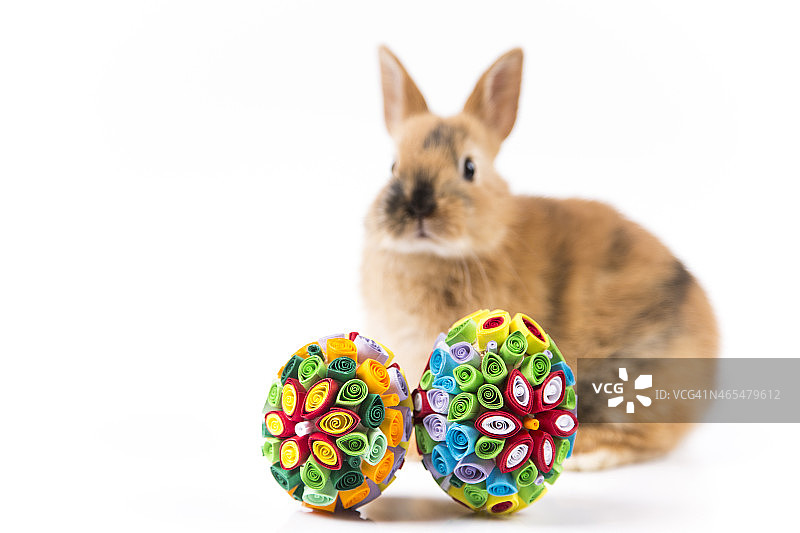 篮子里的复活节兔子和白色背景上的复活节彩蛋图片素材