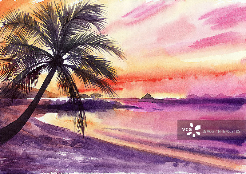 棕榈滩的日落图片素材