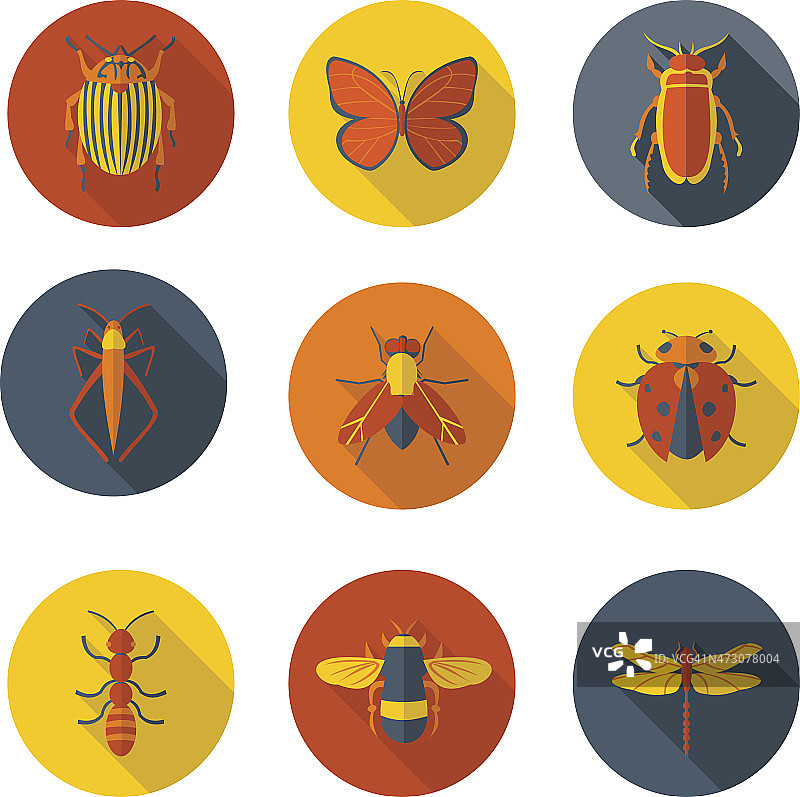 昆虫平图标图片素材
