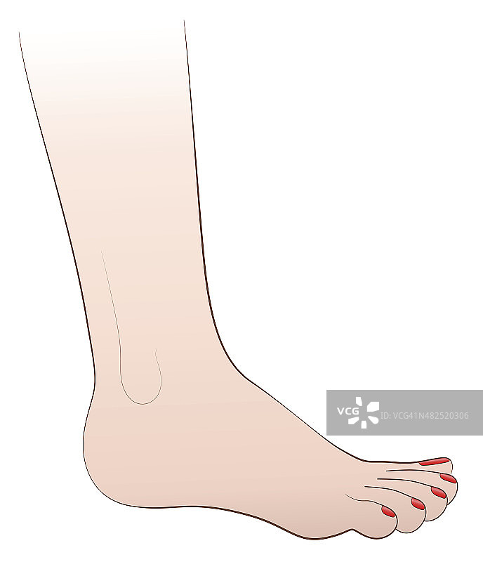 女性足部指甲油图片素材