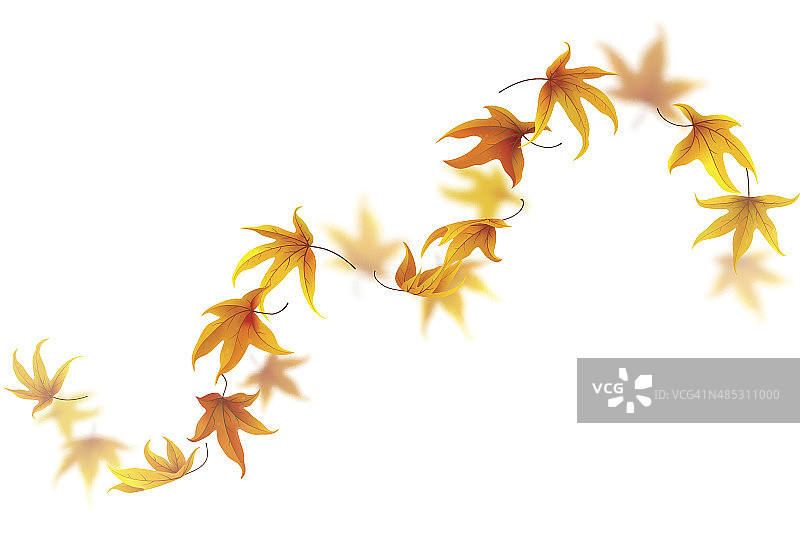 秋叶曲线图片素材