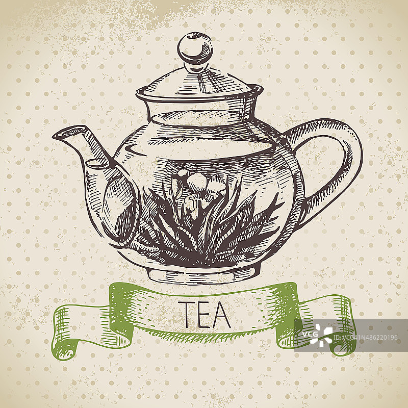 茶的背景。手绘草图。菜单des图片素材