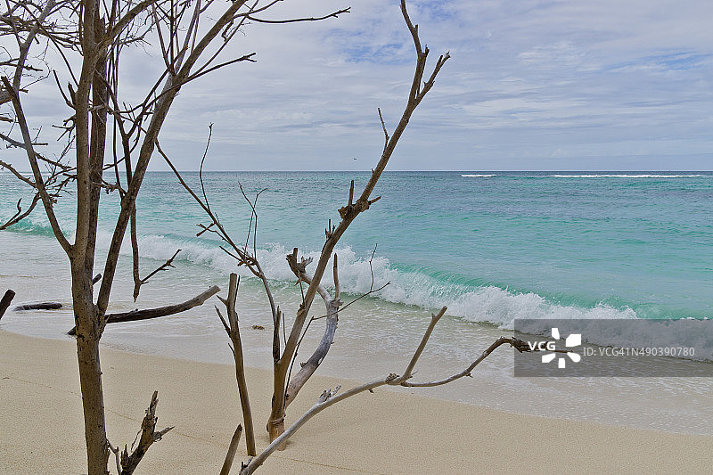 塞舌尔Praslin美丽的海滩图片素材