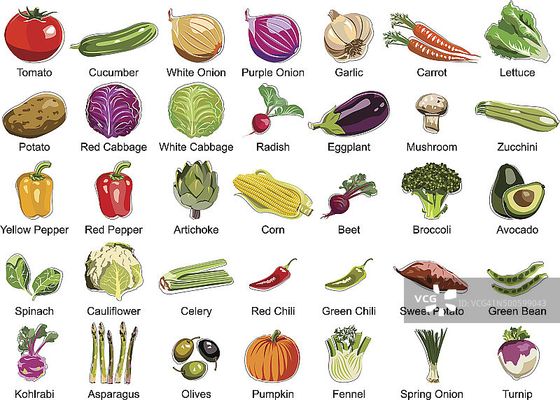35种蔬菜图标图片素材