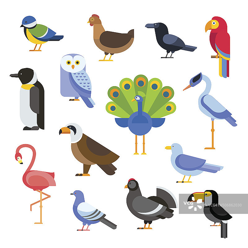 鸟类矢量设置插图。鹰，鹦鹉，鸽子和巨嘴鸟。企鹅图片素材
