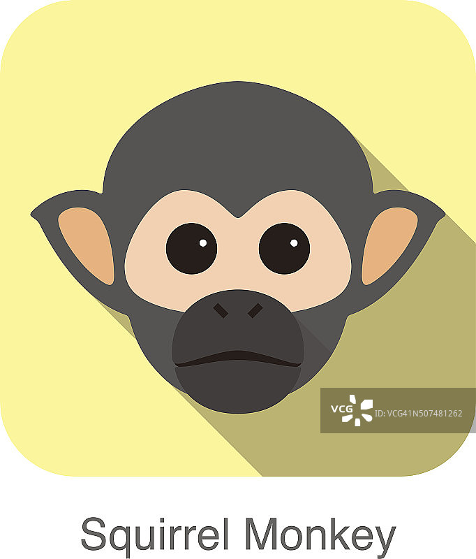 可爱的松鼠猴脸平面图标设计图片素材