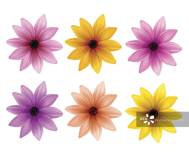逼真的3D彩色雏菊花为春天的季节图片素材