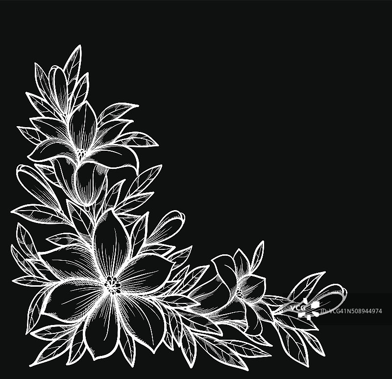 美丽的黑色和白色的枝与花。图片素材