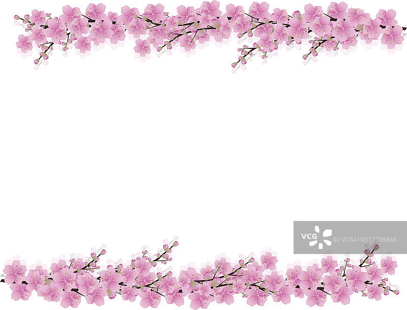 樱花樱花盛开春天的背景樱花图片素材
