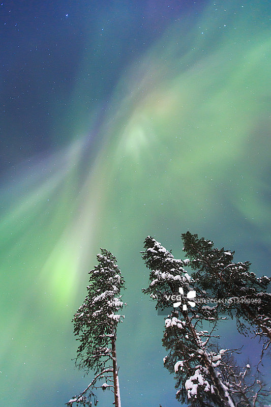 挪威拉普兰巨大而充满活力的北极光图片素材