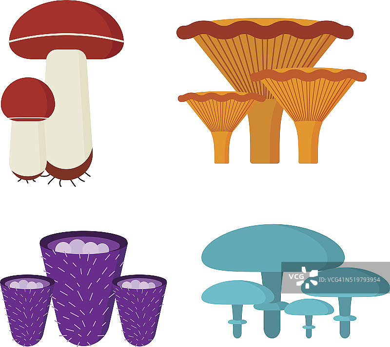 蘑菇矢量插图设置不同的类型孤立在白色背景图片素材