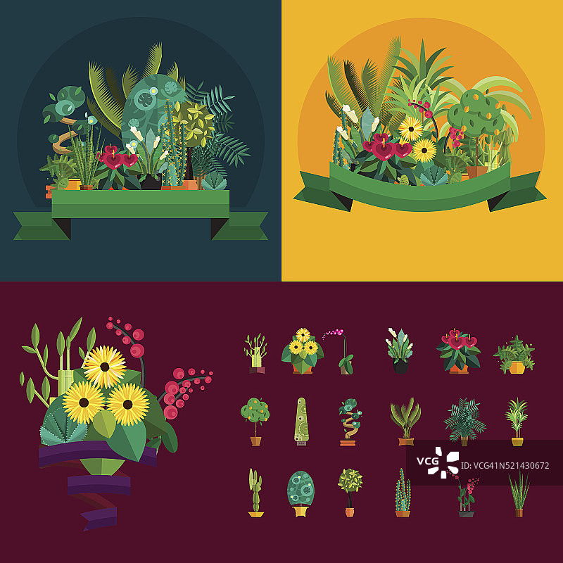 室内植物插图，室内和办公室盆栽植物。图片素材