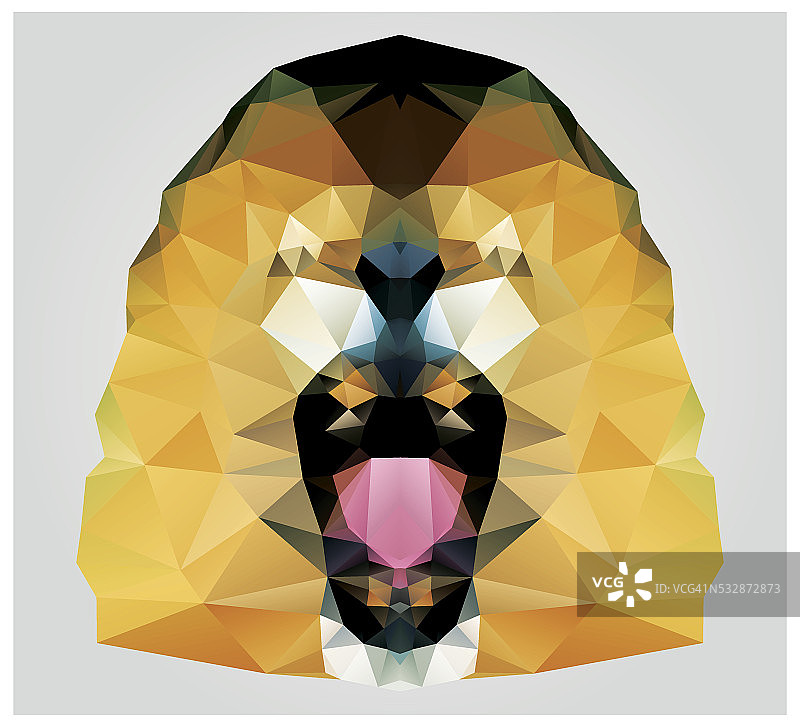 狮头咆哮几何多边形，图案设计图片素材