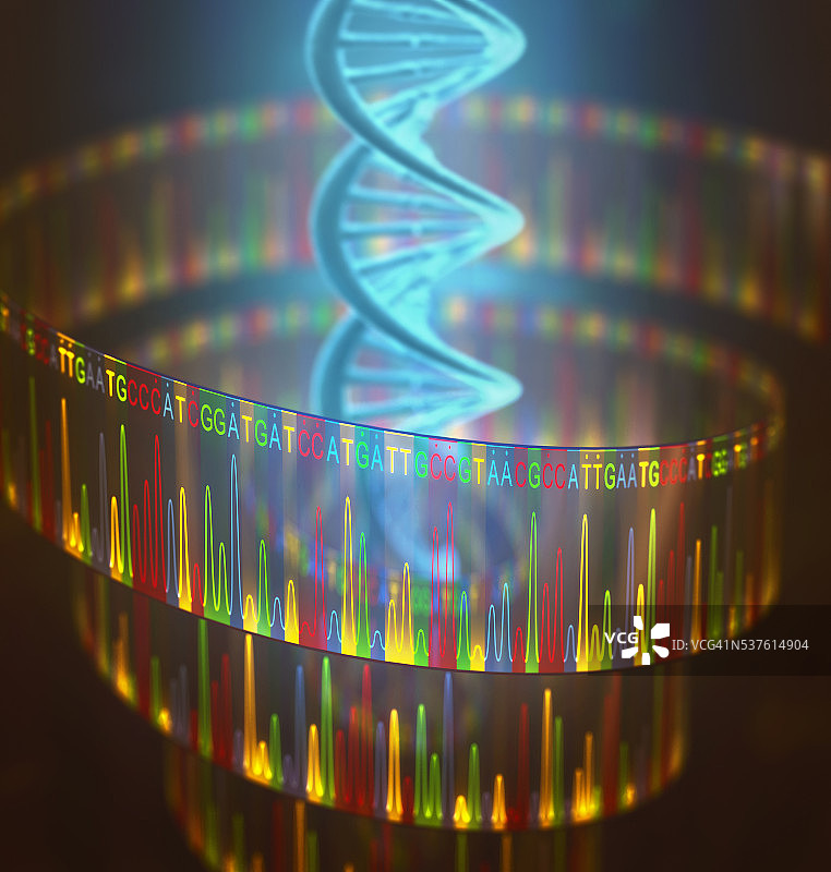 DNA测试Sanger测序图片素材