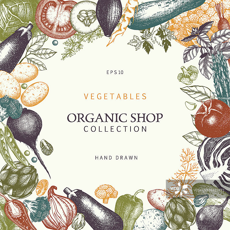 生态食物模板与手绘蔬菜草图图片素材
