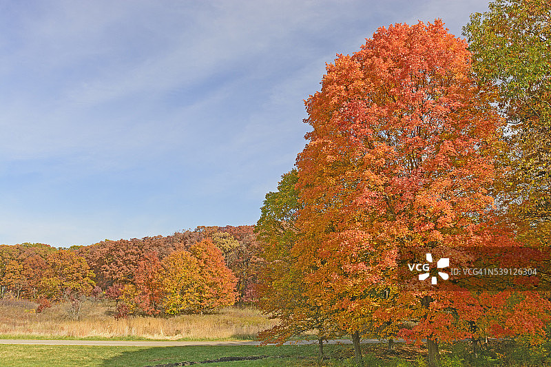 五彩缤纷的秋天风景图片素材