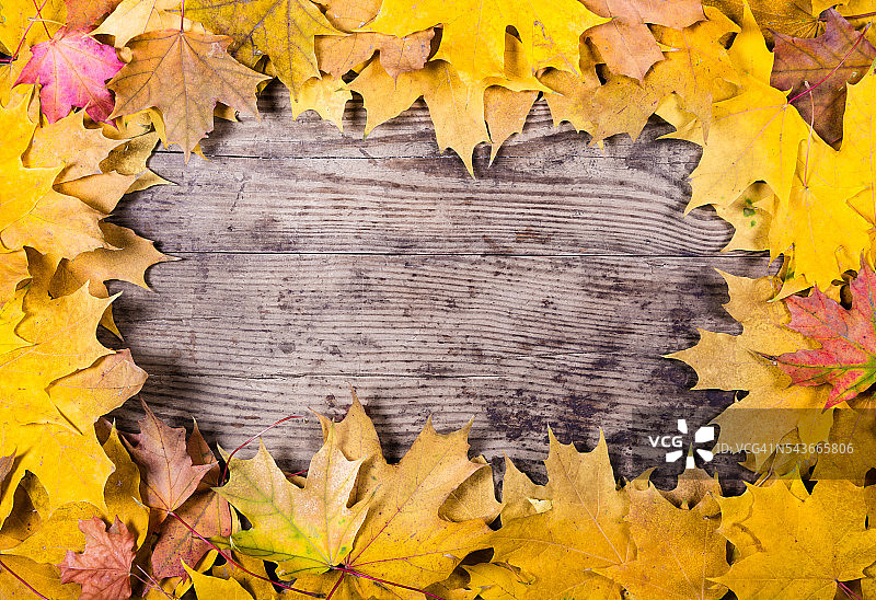 木制的背景与黄色的叶子图片素材