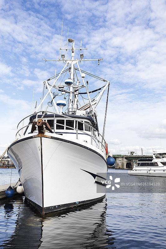 拥挤的商业捕鱼码头上的围网渔船图片素材