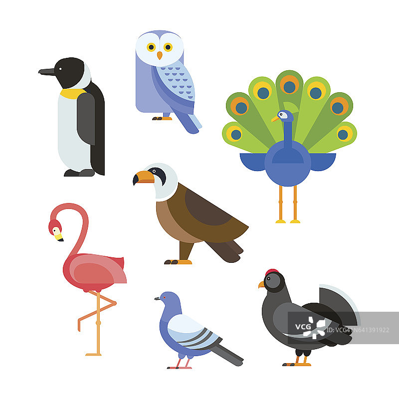 鸟类矢量集插图孤立图片素材