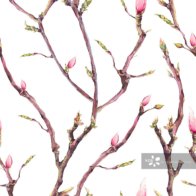 无缝模式与开花的树枝图片素材