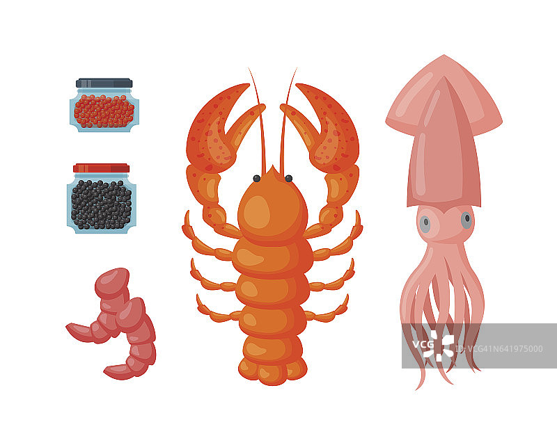 龙虾和鱿鱼矢量平面插图图片素材