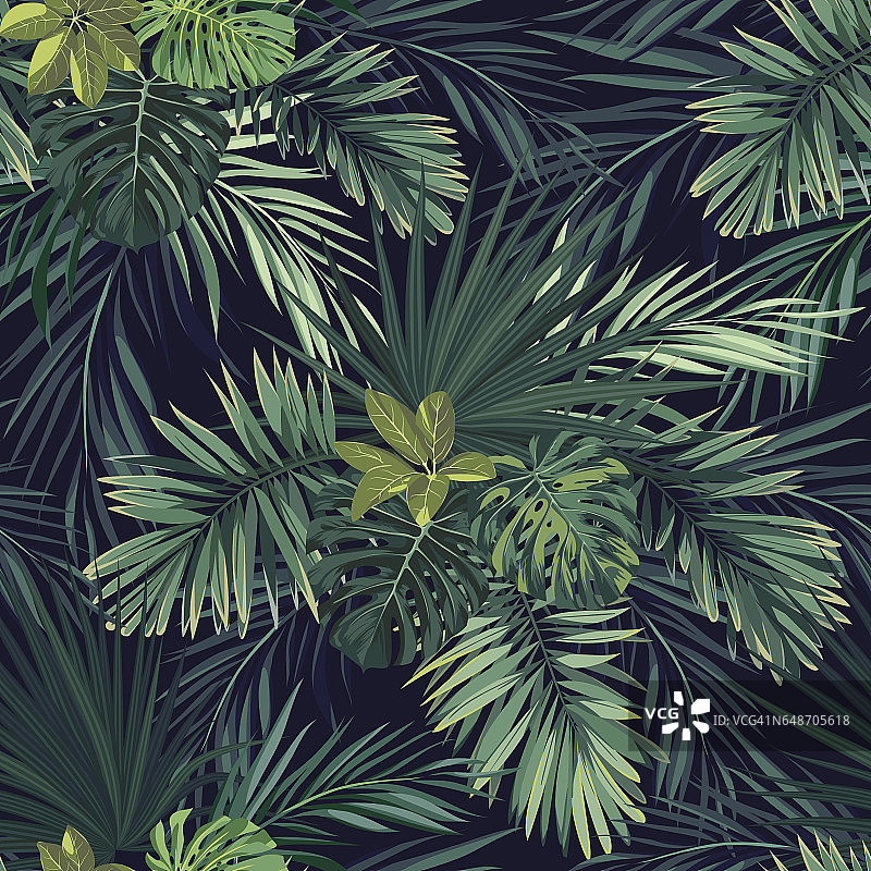 无缝手绘植物外来矢量图案与绿色棕榈叶在黑暗的背景图片素材