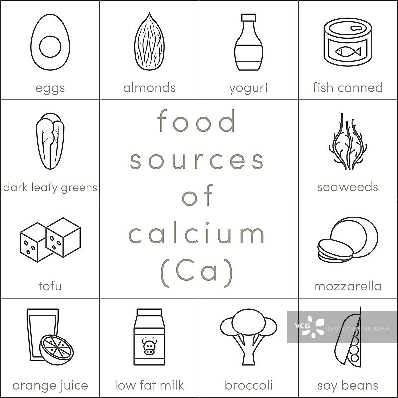 钙的食物来源图片素材