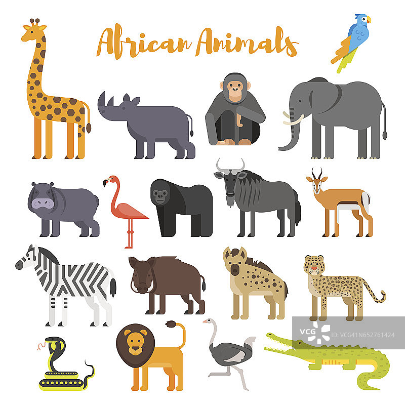 矢量平面风格的非洲动物。图片素材