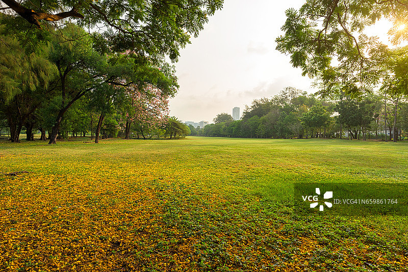 在城市中心的公园里有绿色的草地，早晨阳光明媚图片素材