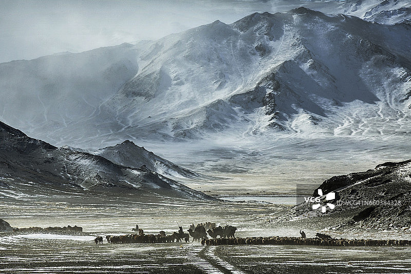 哈萨克族猎鹰游牧民迁徙图片素材