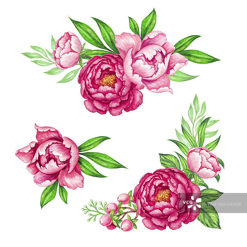 鲜粉牡丹花环，玫瑰绿叶，水彩花束插画，花卉设计元素图片素材