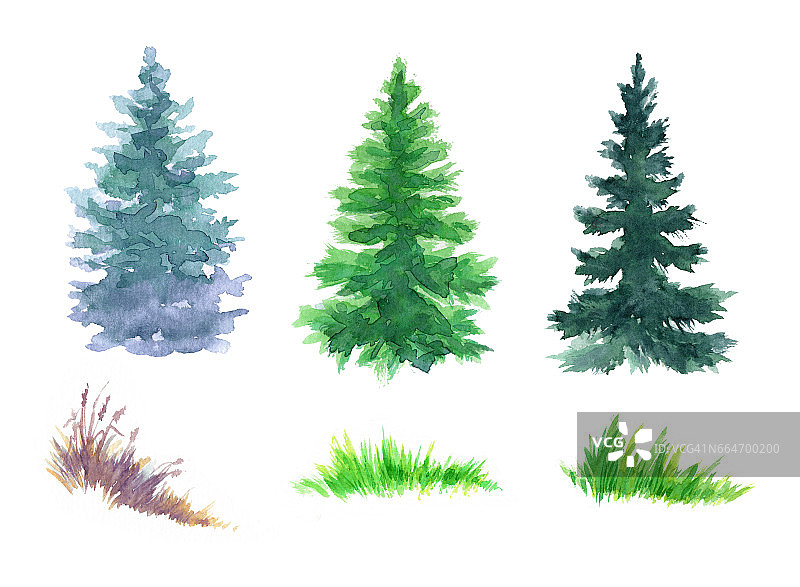 水彩画雪域森林插图，圣诞冷杉树，冬天的自然，针叶树，假日背景，乡村景观，户外植物，孤立的白色背景图片素材