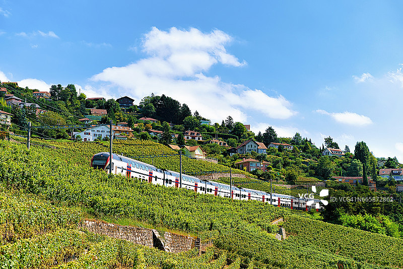 在瑞士拉沃葡萄园梯田徒步旅行的火车图片素材