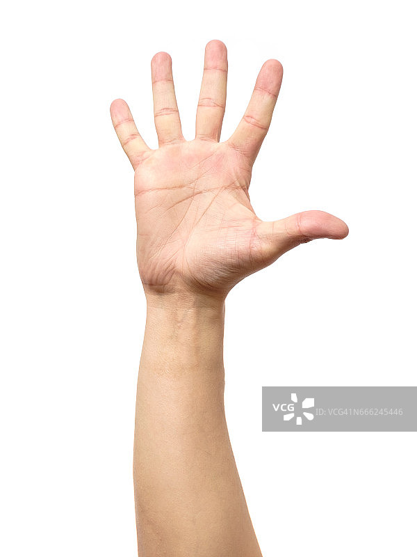 男人的手显示手势孤立在白色背景图片素材
