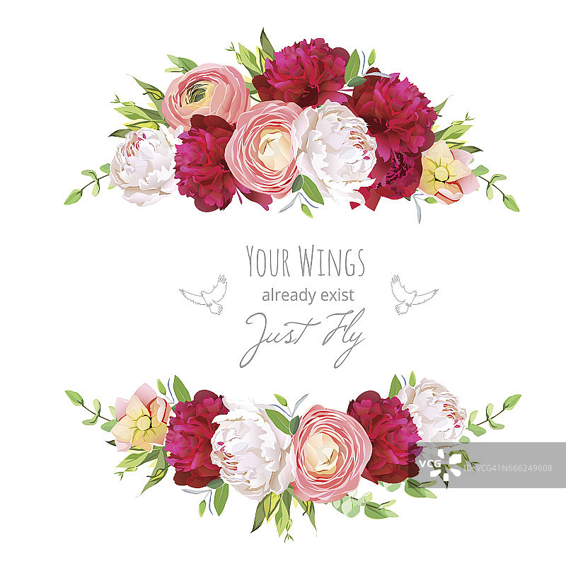 紫红色和白色牡丹，粉红色毛茛，玫瑰矢车菊图片素材