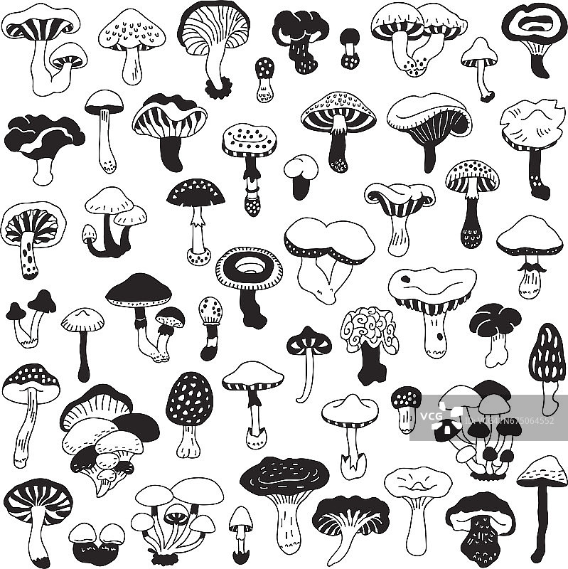 一套矢量手绘，涂鸦蘑菇。图片素材