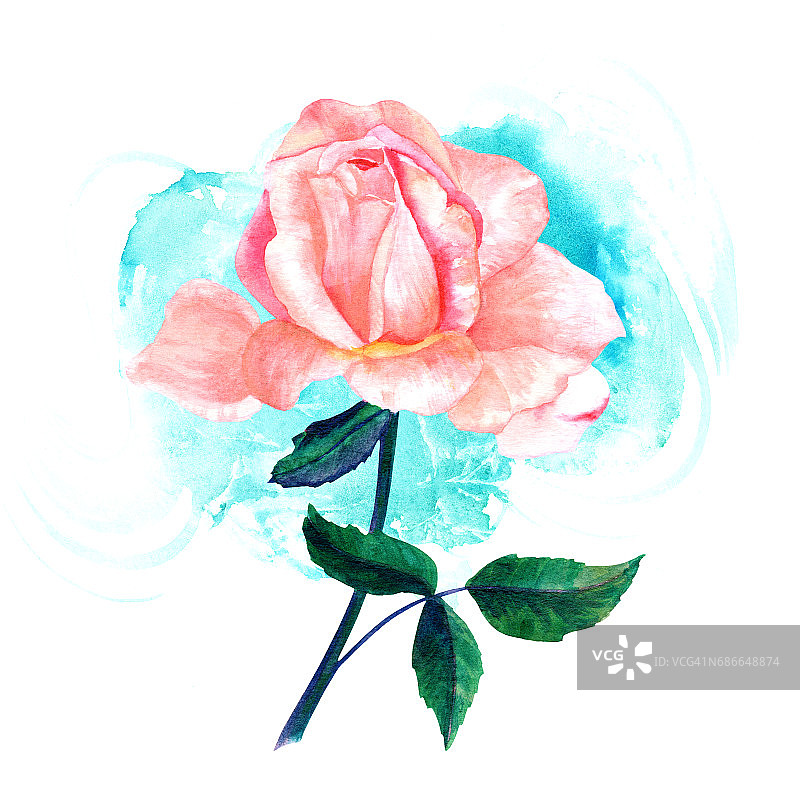 水彩粉红玫瑰画在绿松石笔触图片素材