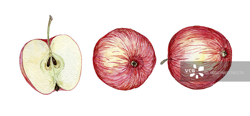 手工制作的苹果水彩画图片素材