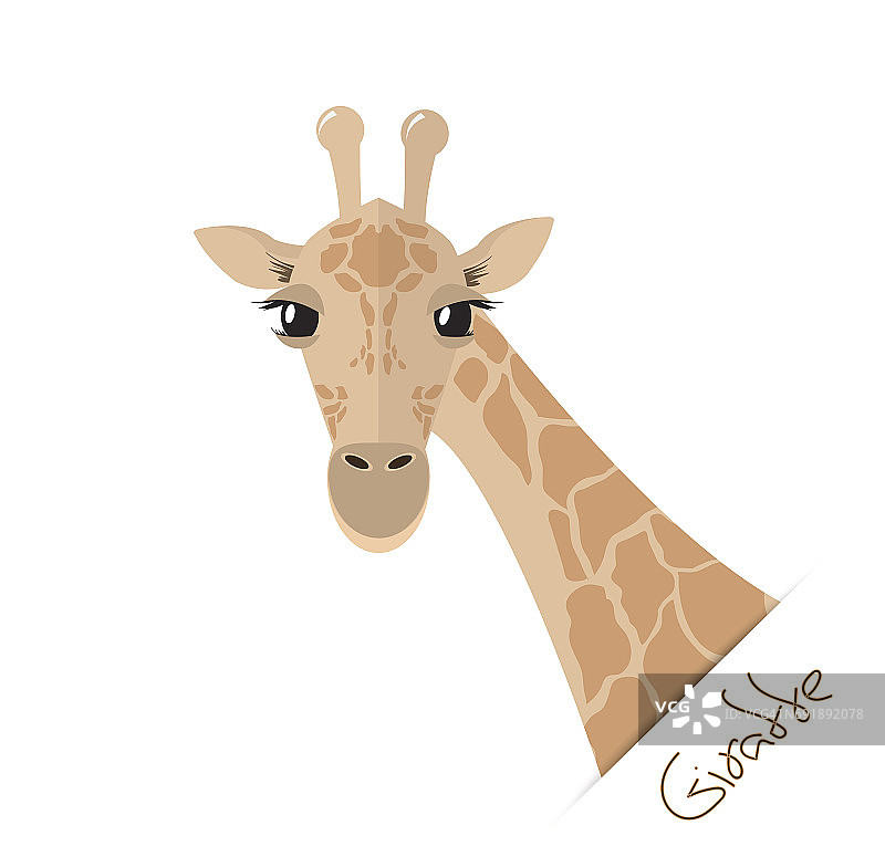 头和脖子的长颈鹿在一个平坦的风格图片素材