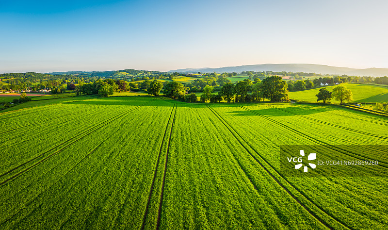 空中全景图，健康的绿色作物在拼凑的牧场农田图片素材
