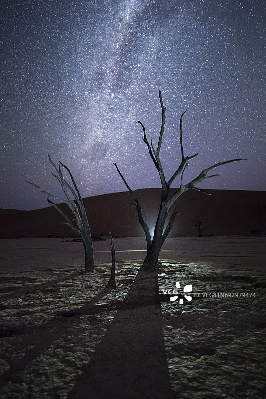 晚上，纳米比亚的索苏斯瓦莱，德德夫雷的一棵蒺藜树图片素材